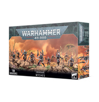 Warhammer 40.000: Drukhari Wyches