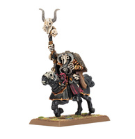 The Old World Warriors of Chaos: Sorcerer of Chaos on Chaos Steed