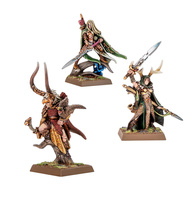 Warhammer The Old World: Wood Elf Realms Wood Elf Nobles