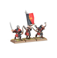 The Old World Kingdom of Bretonnia: Squires Command