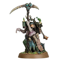 Age of Sigmar: Maggotkin of Nurgle Rotbringer Sorcerer