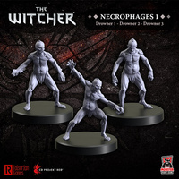 The Witcher RPG Necrophages 1: Drowners