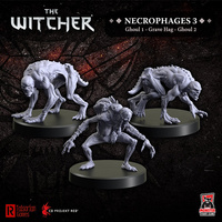 The Witcher RPG Necrophages 3: Ghouls and Grave Hag