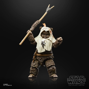Star Wars Episode VI 40th Anniversary Black Series Action Figure Paploo 15 cm