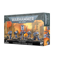 Warhammer 40.000: Space Marines Sternguard Veteran Squad