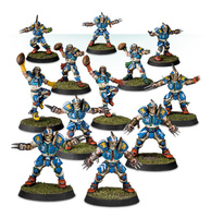 Human Blood Bowl Team: Reikland Reavers