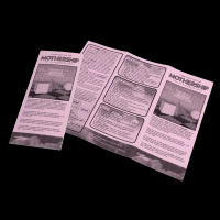 Mothership - Hideo's World Pamphlet (1e)