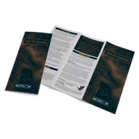 Mothership - Here Be Dragons