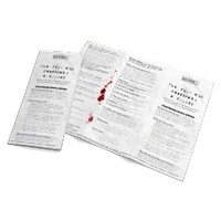 Mothership - The Ship Who Swallowed A Spider