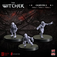 The Witcher RPG Ogryds 2: Nekkers