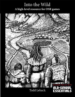 Into the Wild (Hardcover)