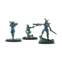 Fallout Miniatures: Raiders Disciples Leaders