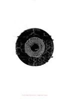 Forbidden Psalm - Kill Sample Process (Hardcover)