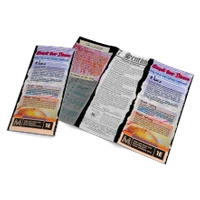 Mothership - Sunset Over Ithaca