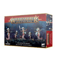 Age of Sigmar: Daughters Of Khaine Blood Sisters / Stalkers