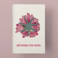 Between the Skies Collected Hardcover Edition